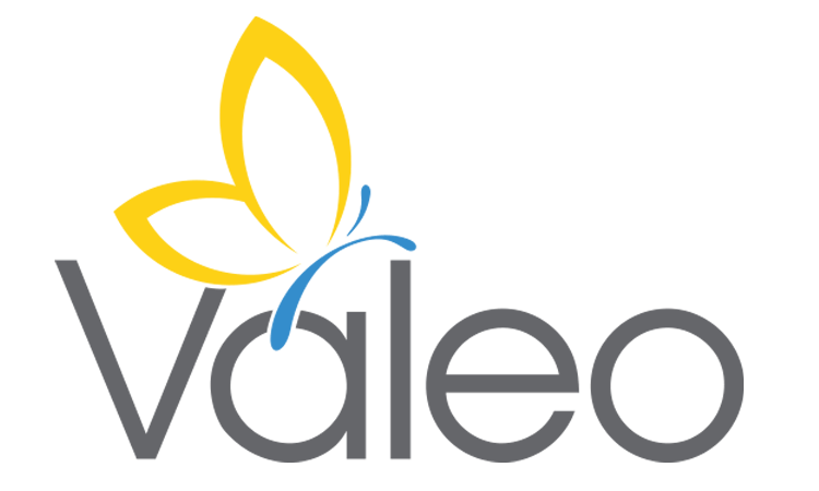 Valeo Signature Programing
